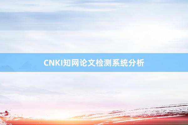 CNKI知网论文检测系统分析