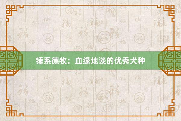 锤系德牧:血缘地谈的优秀犬种