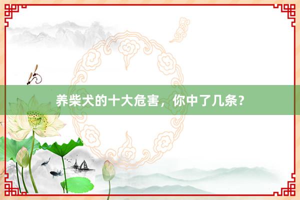 养柴犬的十大危害，你中了几条？
