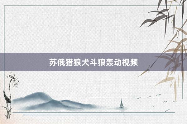 苏俄猎狼犬斗狼轰动视频