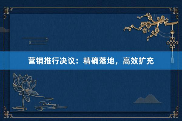营销推行决议：精确落地，高效扩充