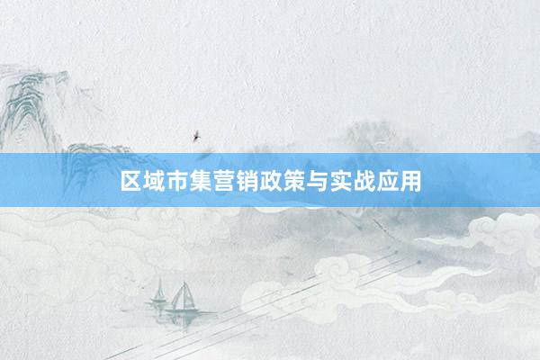 区域市集营销政策与实战应用